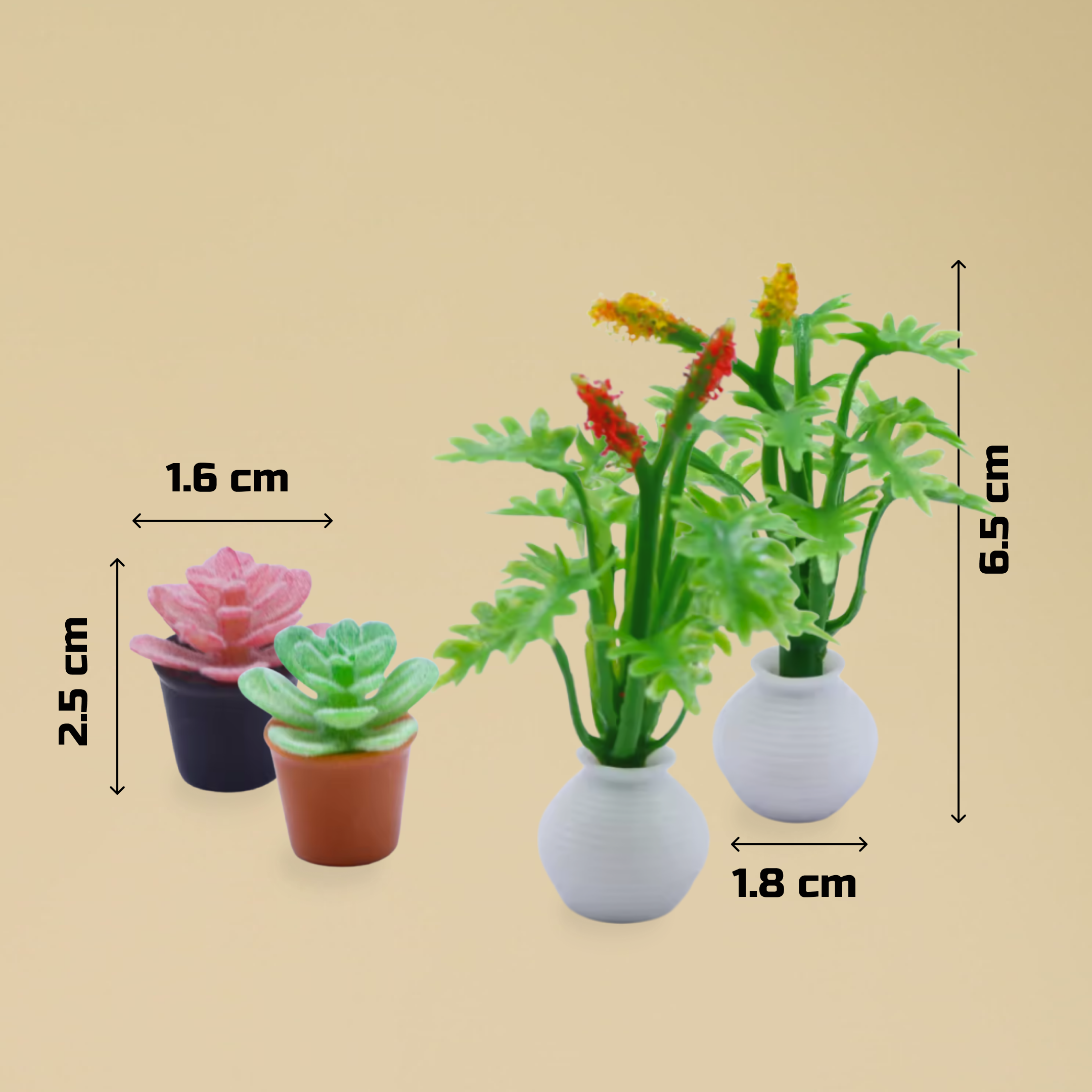 Set of small pot plants with measurements