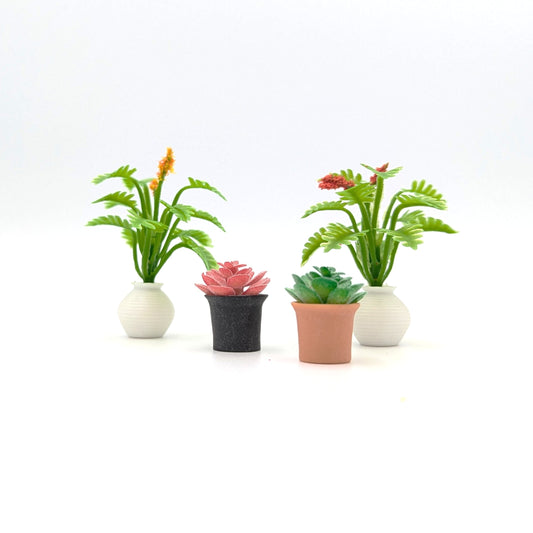 Set of miniature potted plants